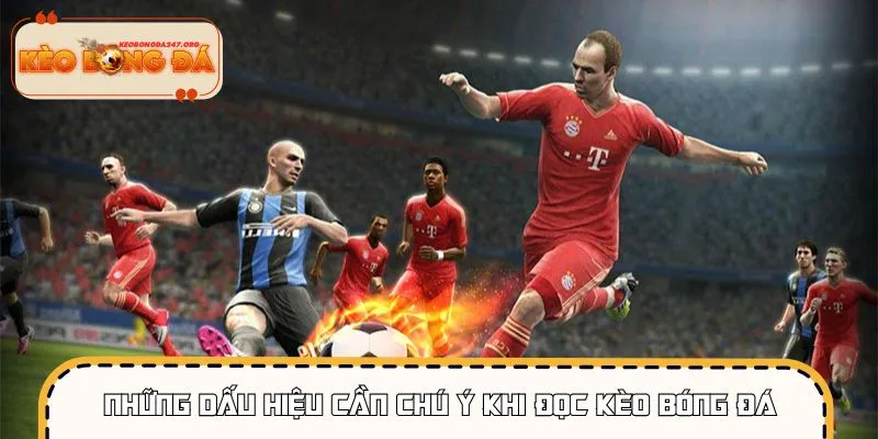 cach-doc-keo-bong-da-dau-hieu