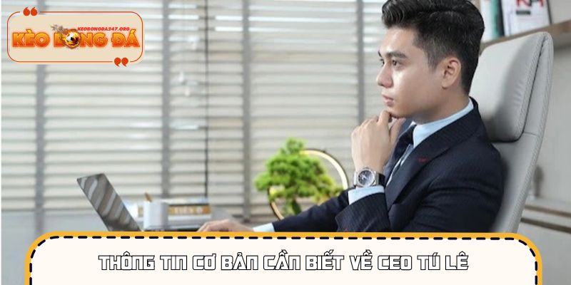 ceo-tu-le-thong-tin-co-ban