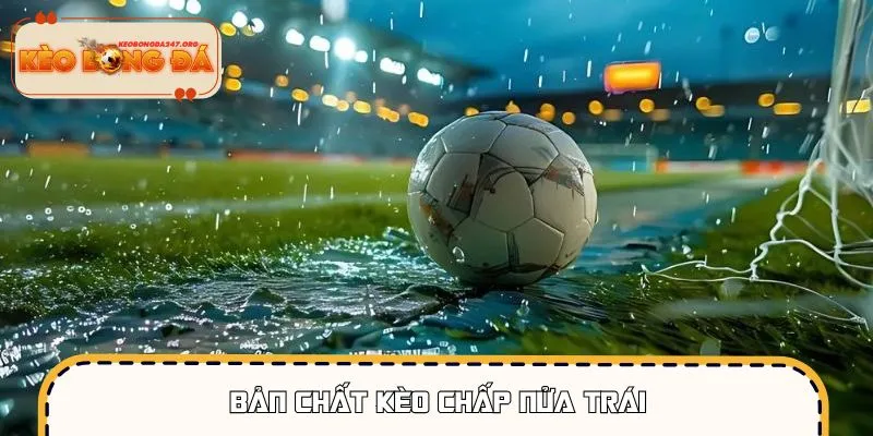 keo-chap-nua-trai-ban-chat