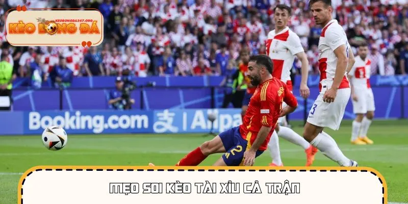 keo-tai-xiu-ca-tran-meo