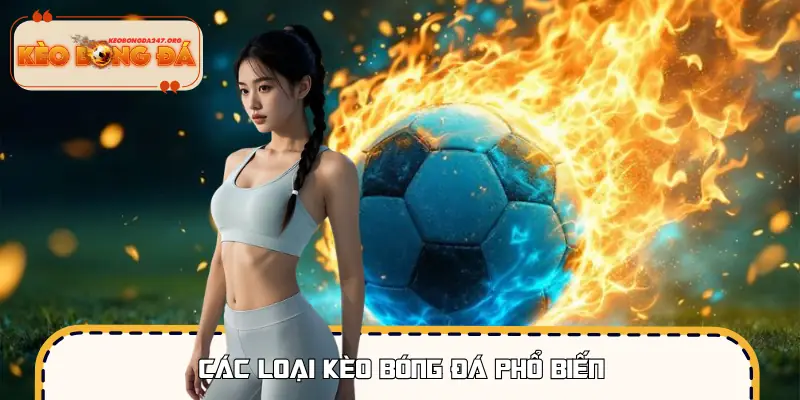 Các loại kèo cược thể thao được chơi nhiều trong tuần