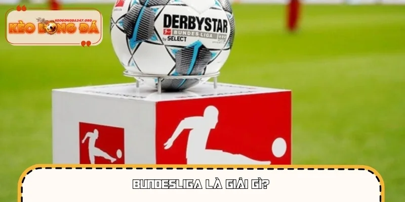 Bundesliga là giải đấu chuyên nghiệp của nước Đức