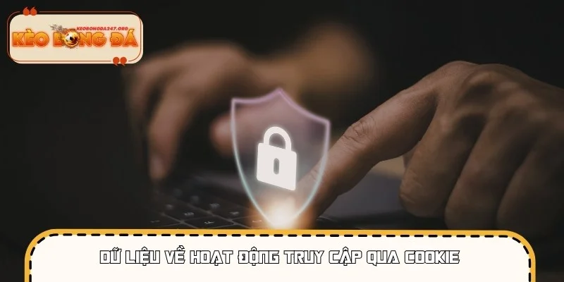 Hệ thống thu thập Cookie để tối ưu trải nghiệm người dùng