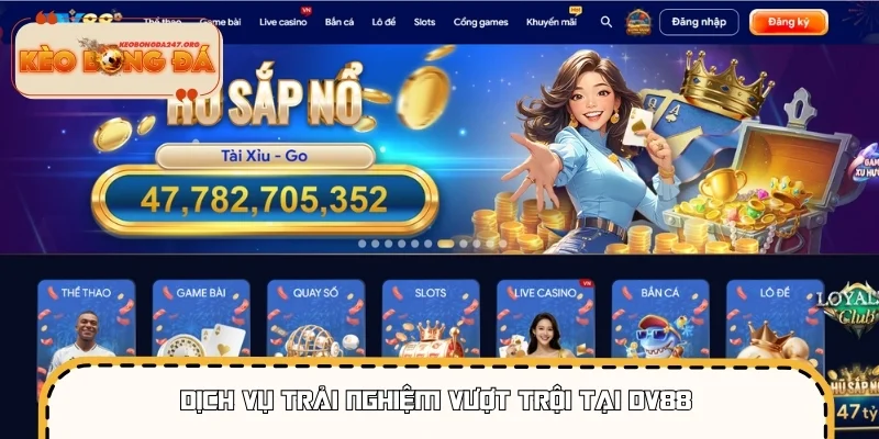 Dịch vụ trải nghiệm vượt trội tại DV88