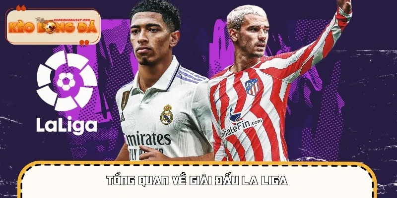 La Liga là giải đấu chuyên nghiệp của Tây Ban Nha