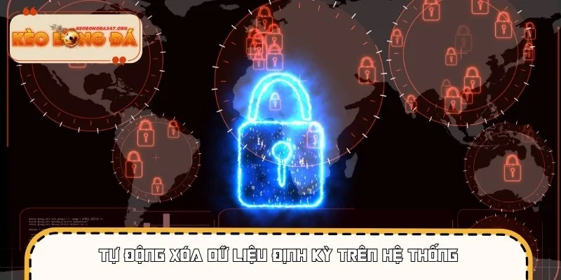 Hệ thống tự động xóa dữ liệu bảo vệ riêng tư