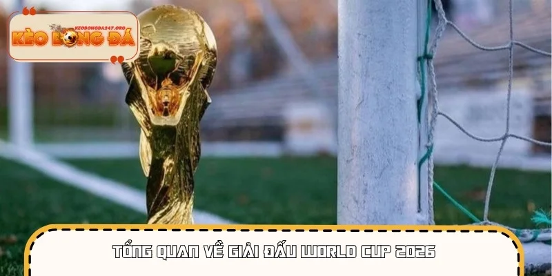 World Cup 2026 đã mở rộng lên tới 48 đội tham gia
